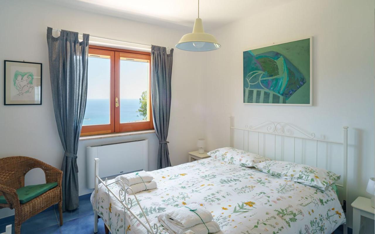 Drius Edode - B&B Affittacamere Torraca Экстерьер фото