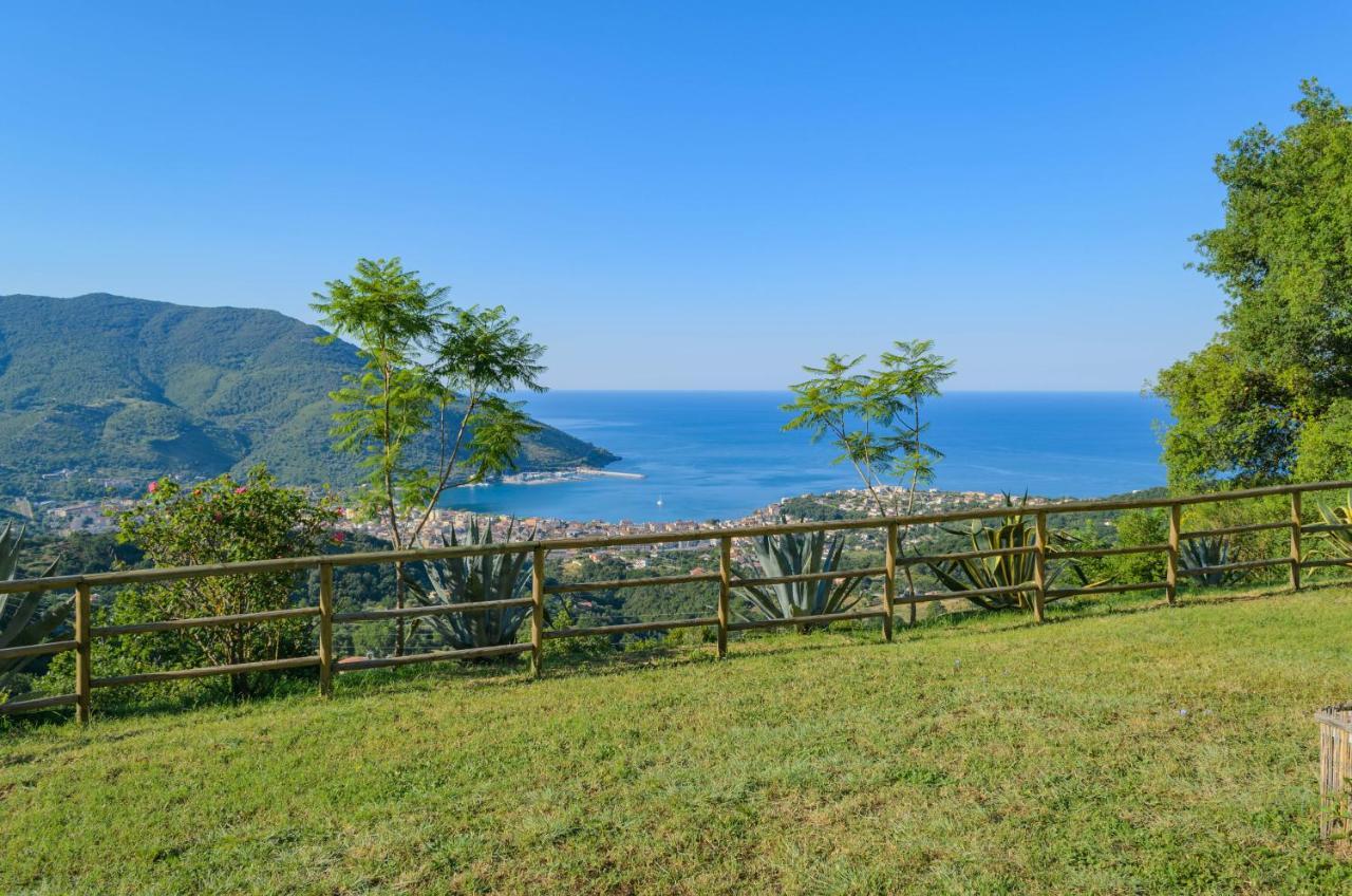 Drius Edode - B&B Affittacamere Torraca Экстерьер фото